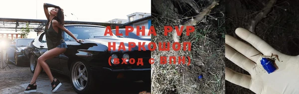 трава Ельня