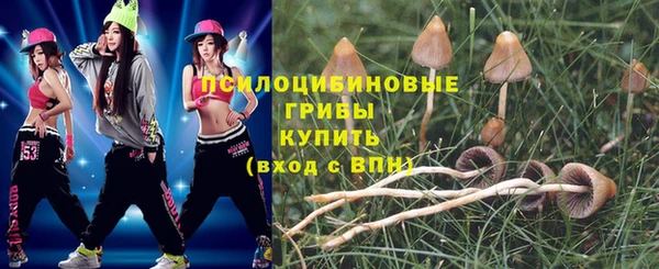 молекула духа Елабуга