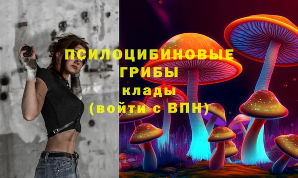 молекула духа Елабуга