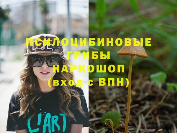 трава Ельня