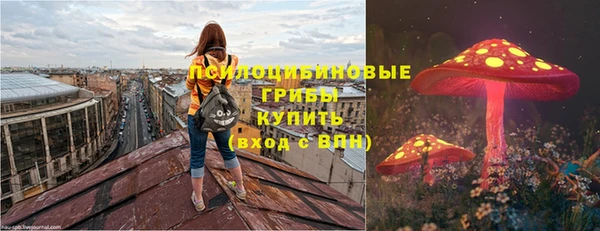 трава Елизово