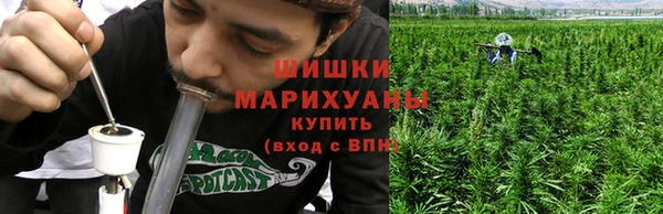 трава Елизово