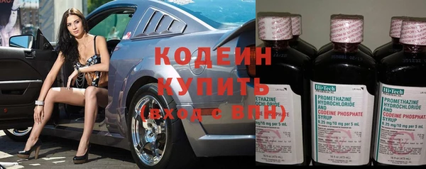 трава Ельня