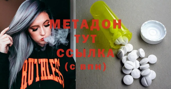 трава Ельня