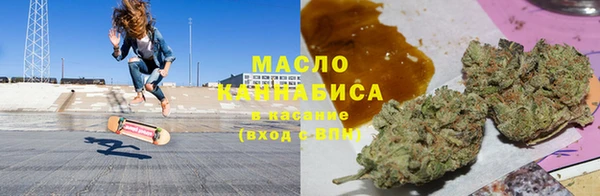 трава Ельня
