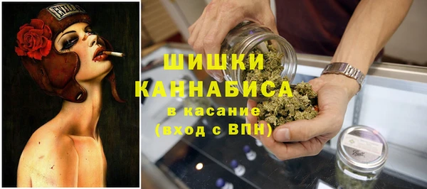 трава Ельня
