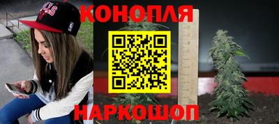 сатива Балаково