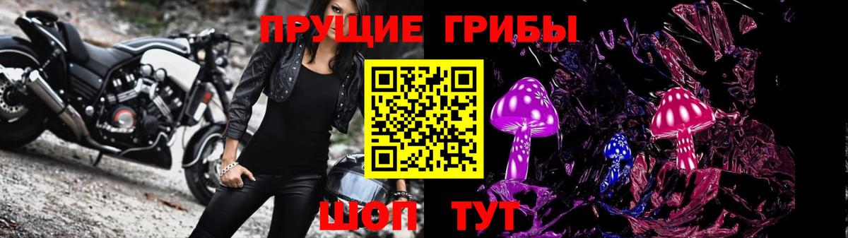 Вичуга  Галлюциногенные грибы прущие грибы  Вход с VPN  наркошоп  Псилоцибиновые грибы мухоморы 